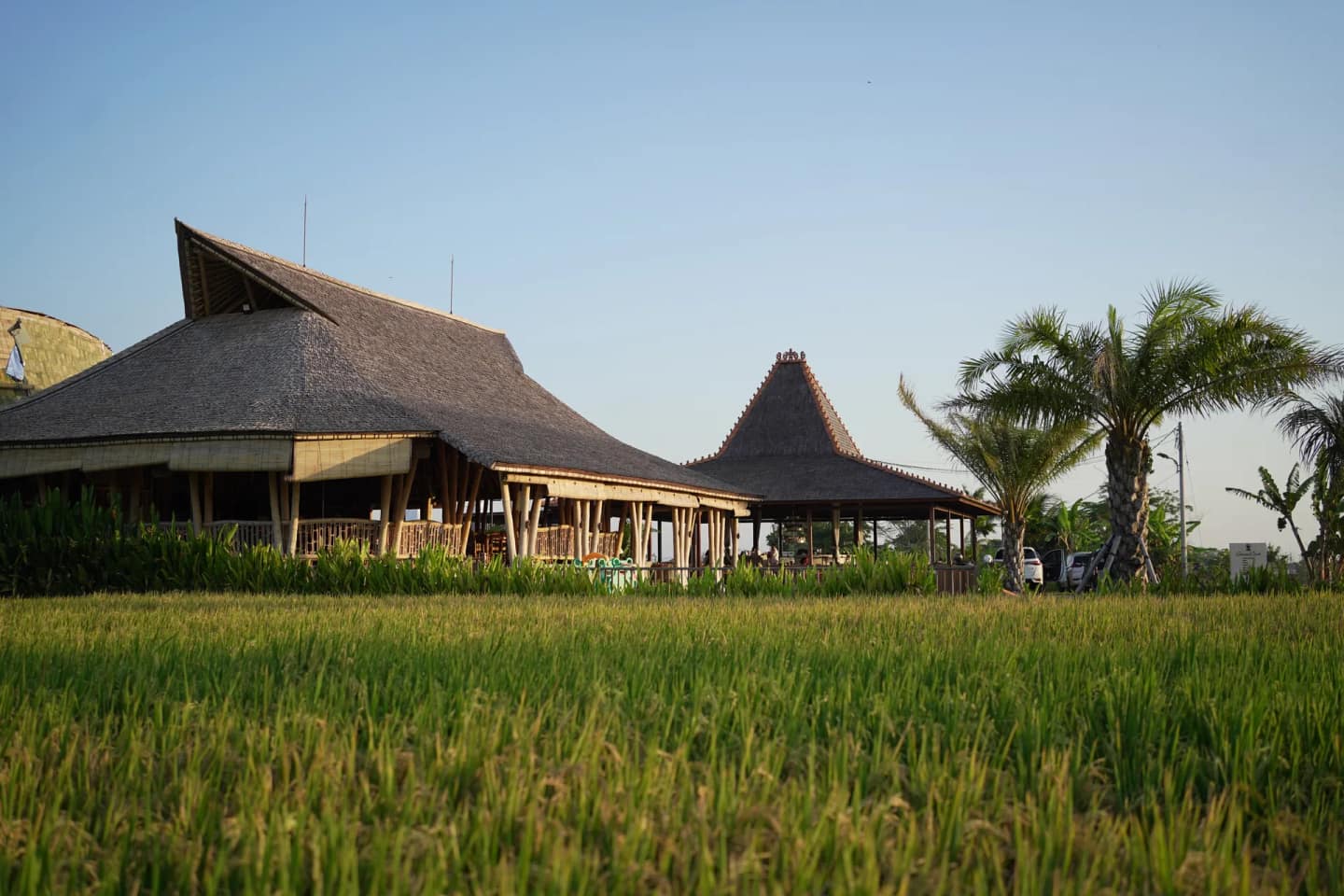 Padi Restaurant and Bar Canggu