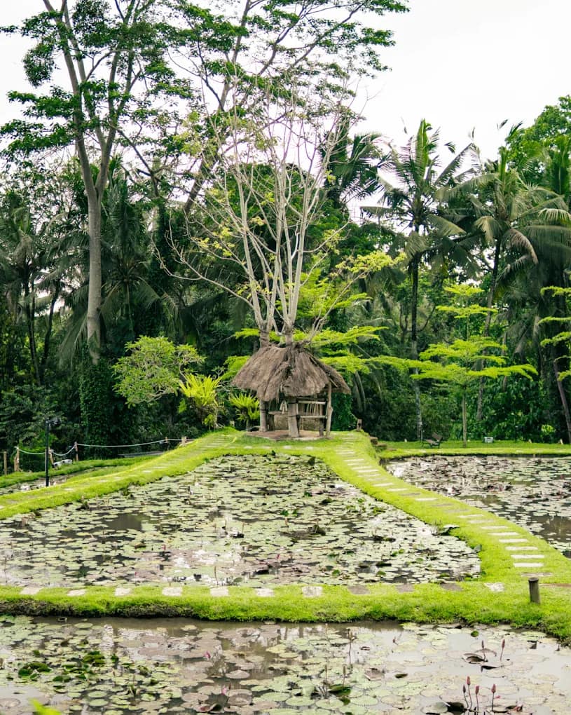 Greenkubu Restaurant and Swing Ubud