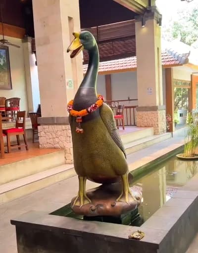 Bebek Bengil Nusa Dua thumbnail 1