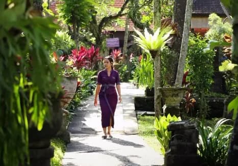Bebek Bengil Ubud thumbnail 1