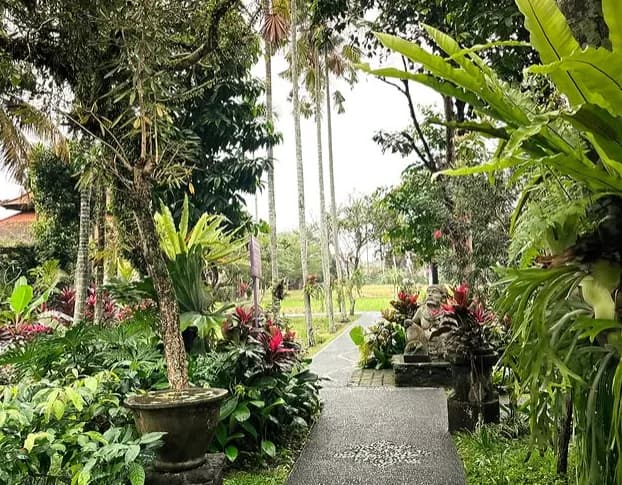Bebek Bengil Ubud thumbnail 2