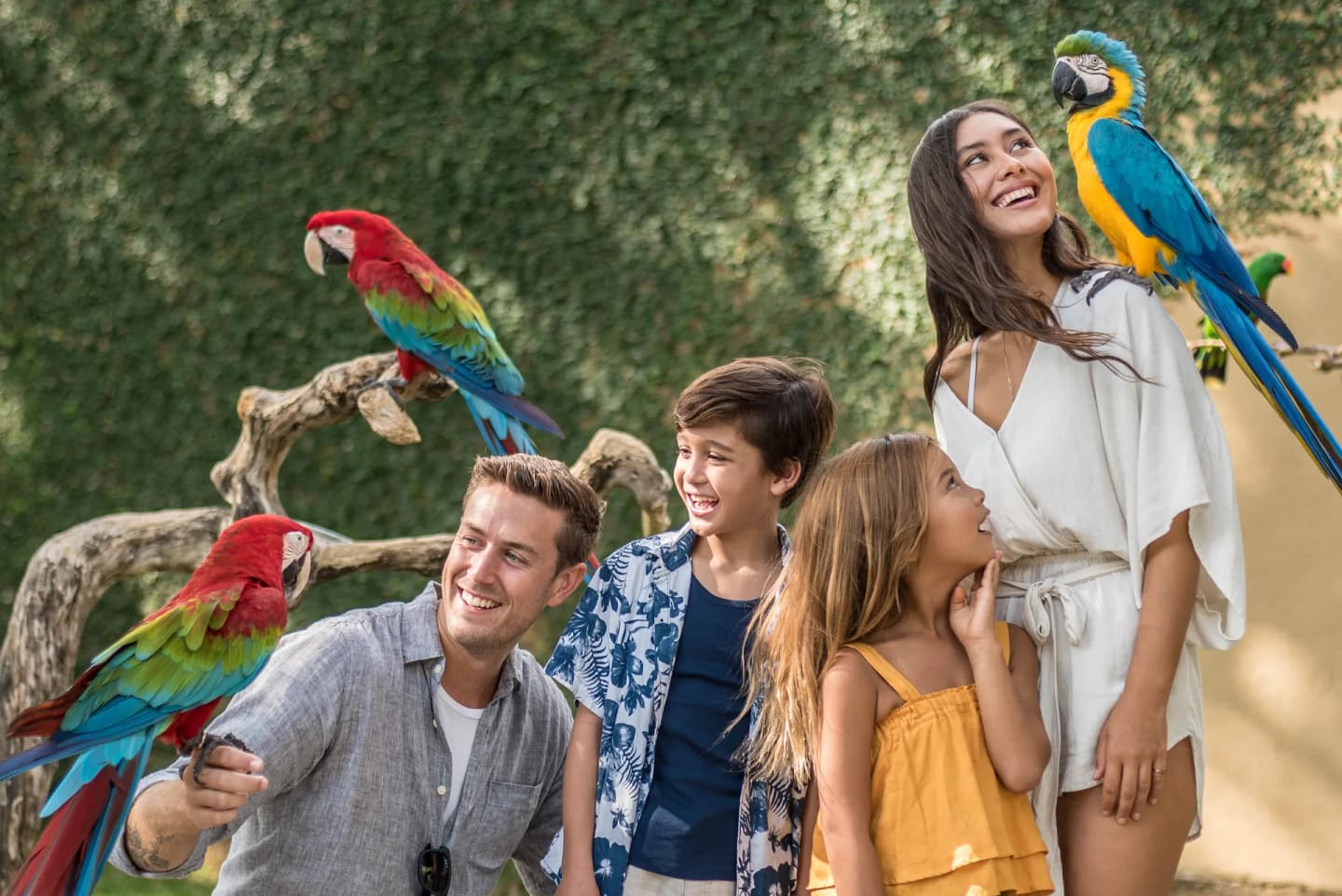 Bali Bird Park Ultimate Encounter