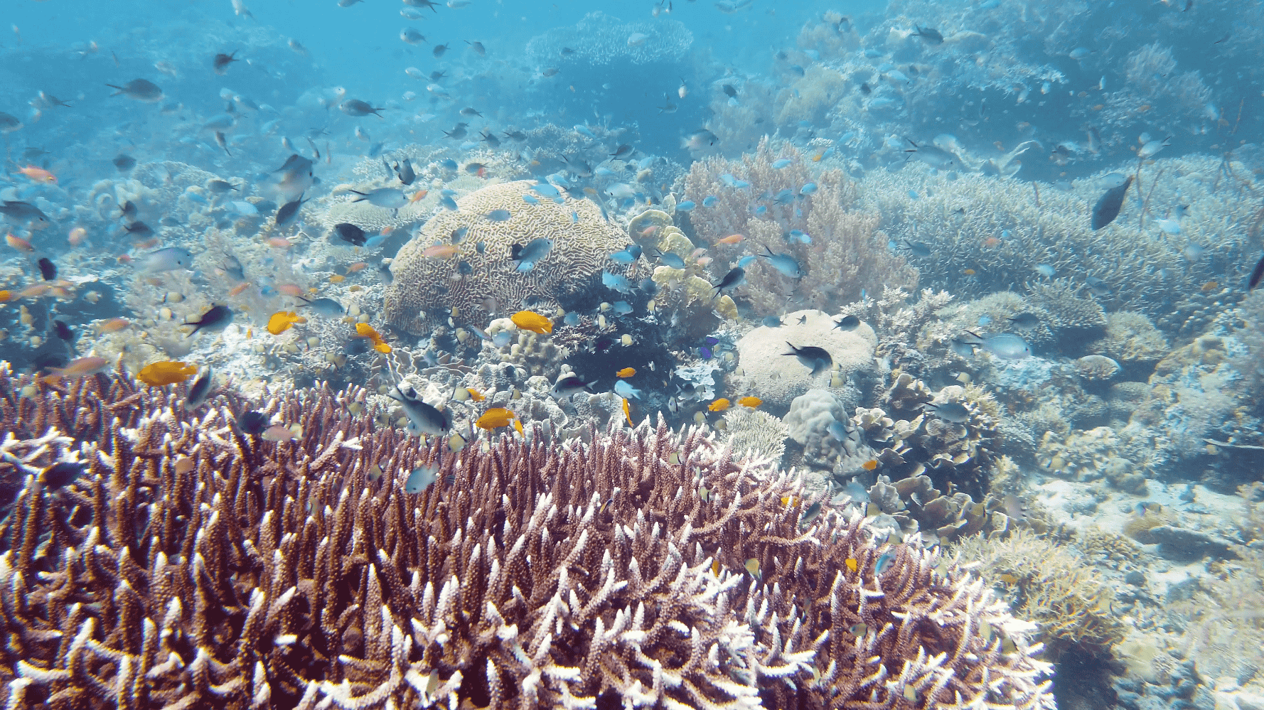 Leyte & Samar: Off-the-Beaten-Path Gems