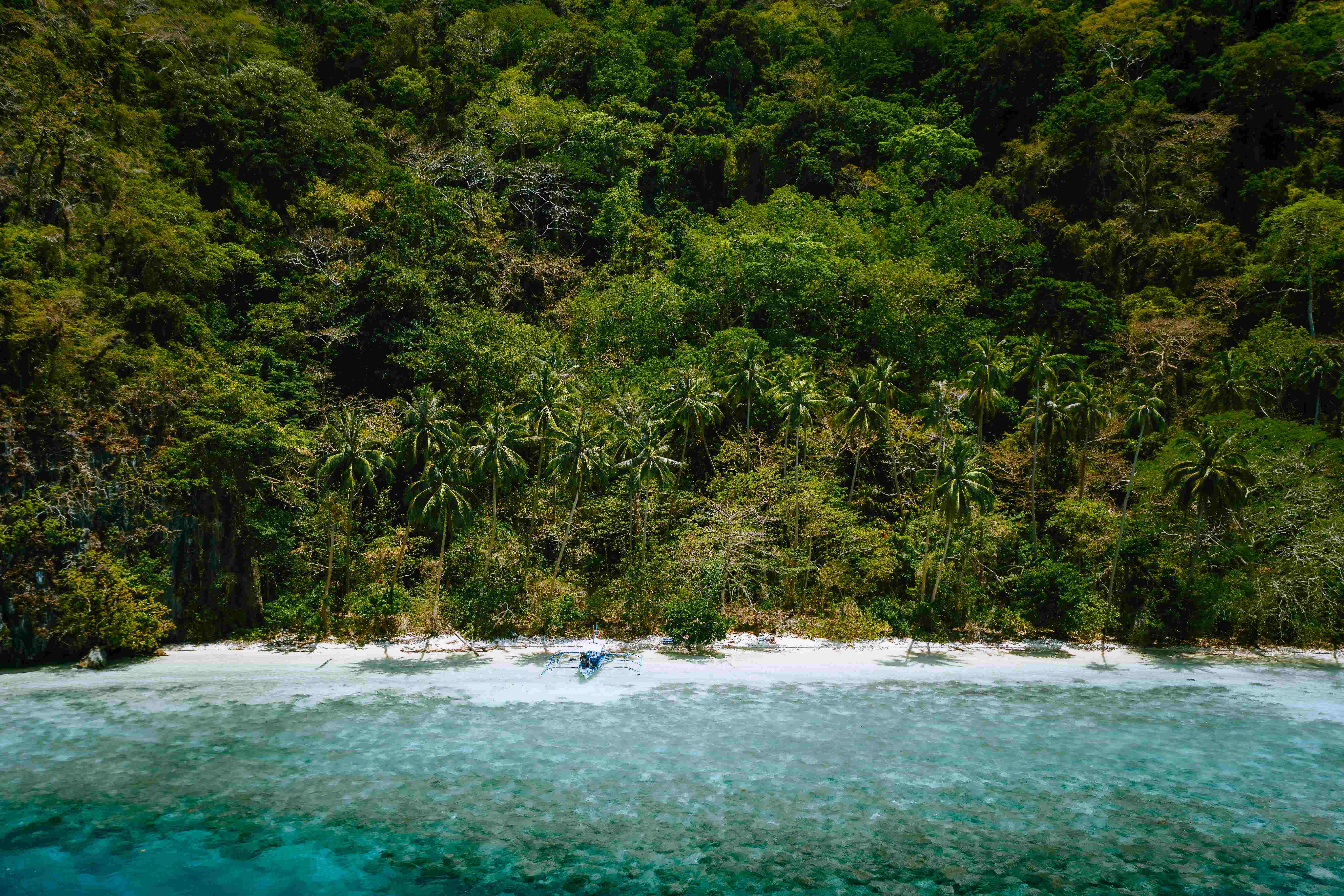 Palawan: The Last Ecological Frontier