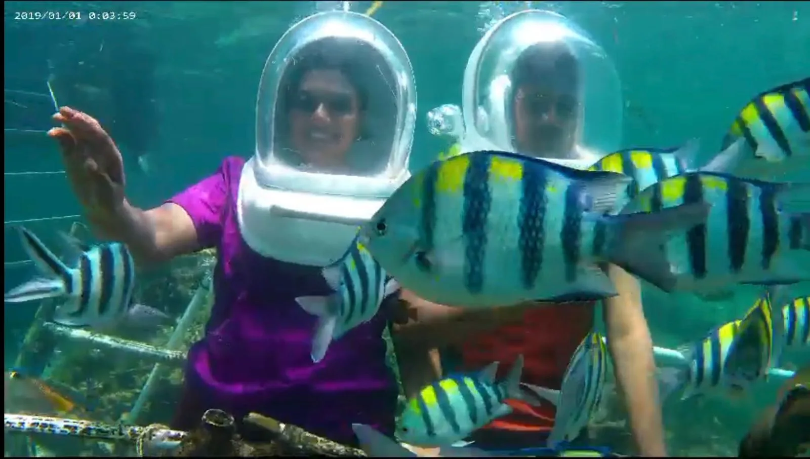 Pandan Sari Dive And Watersports photo 3