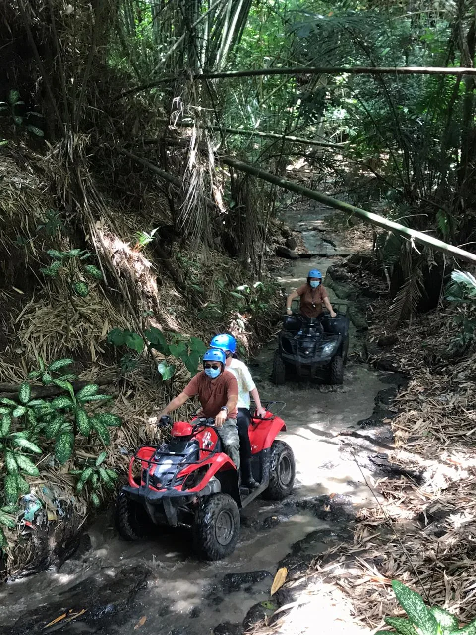 Ubud Activity Bali photo 3