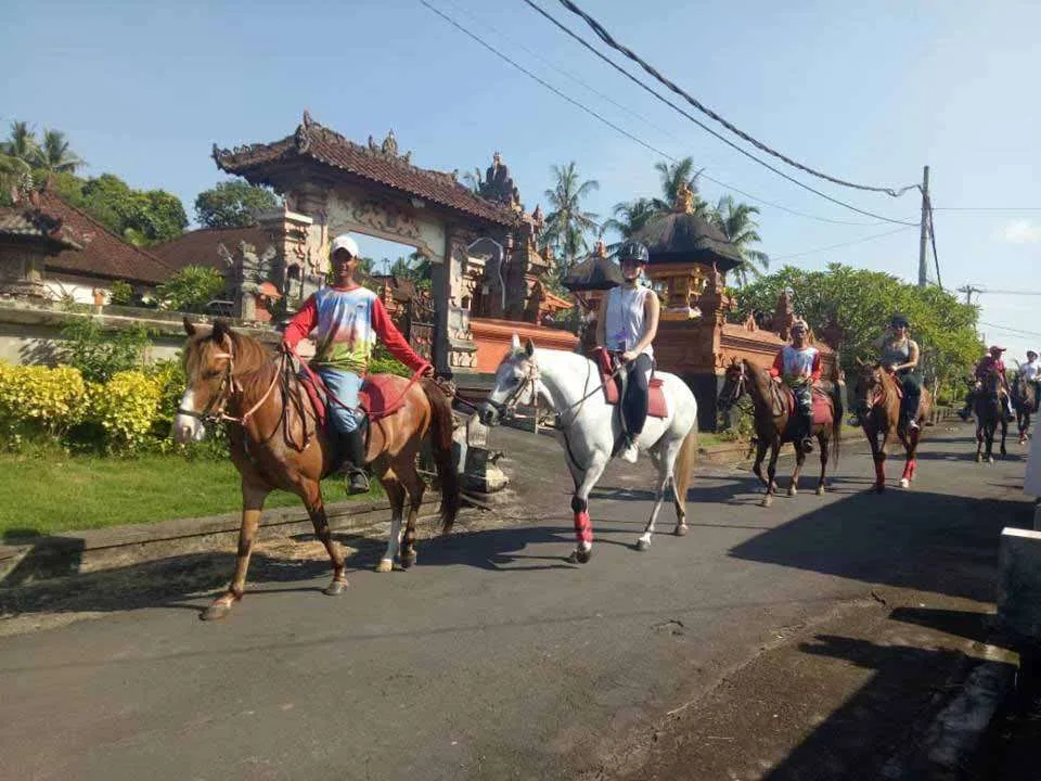 Horse Riding Kuda P Stable
