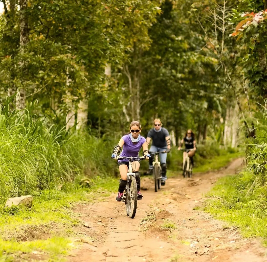 Green Hillside Cycling