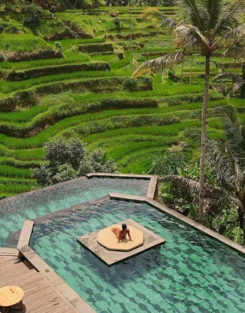 Rice Terrace And Swing Journey
