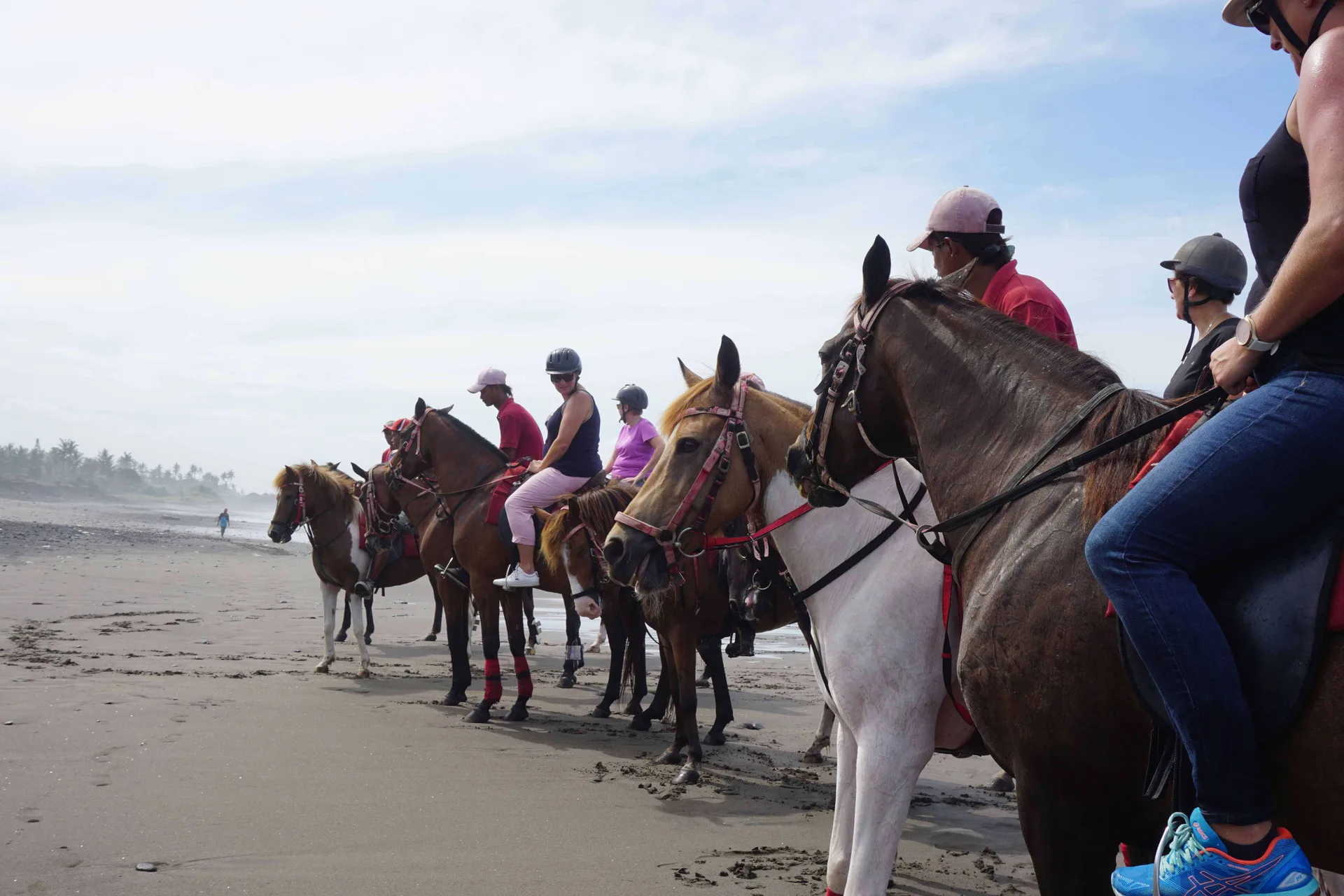 Long Ride Horse Riding